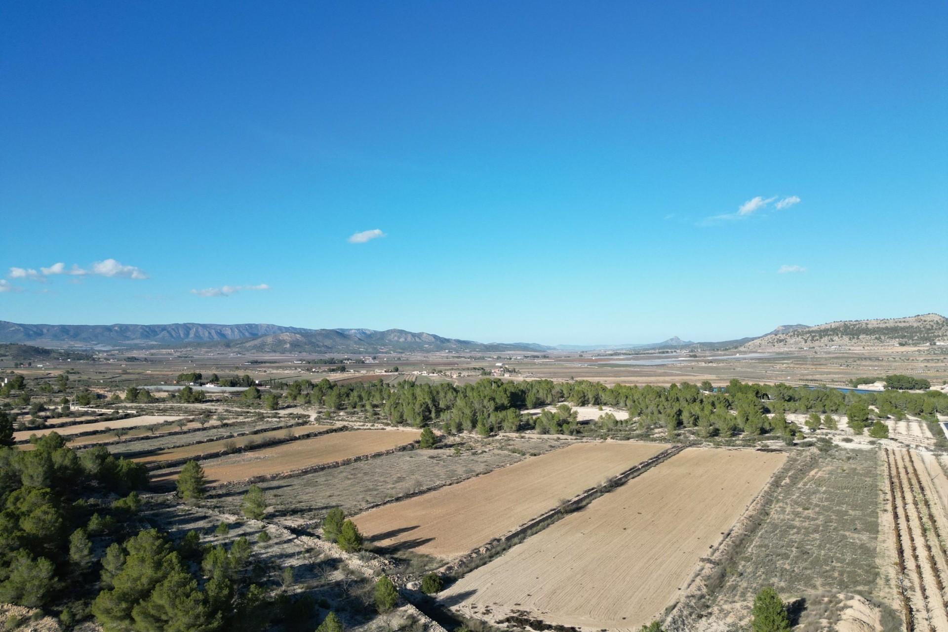 Sale - Grond -
Monovar