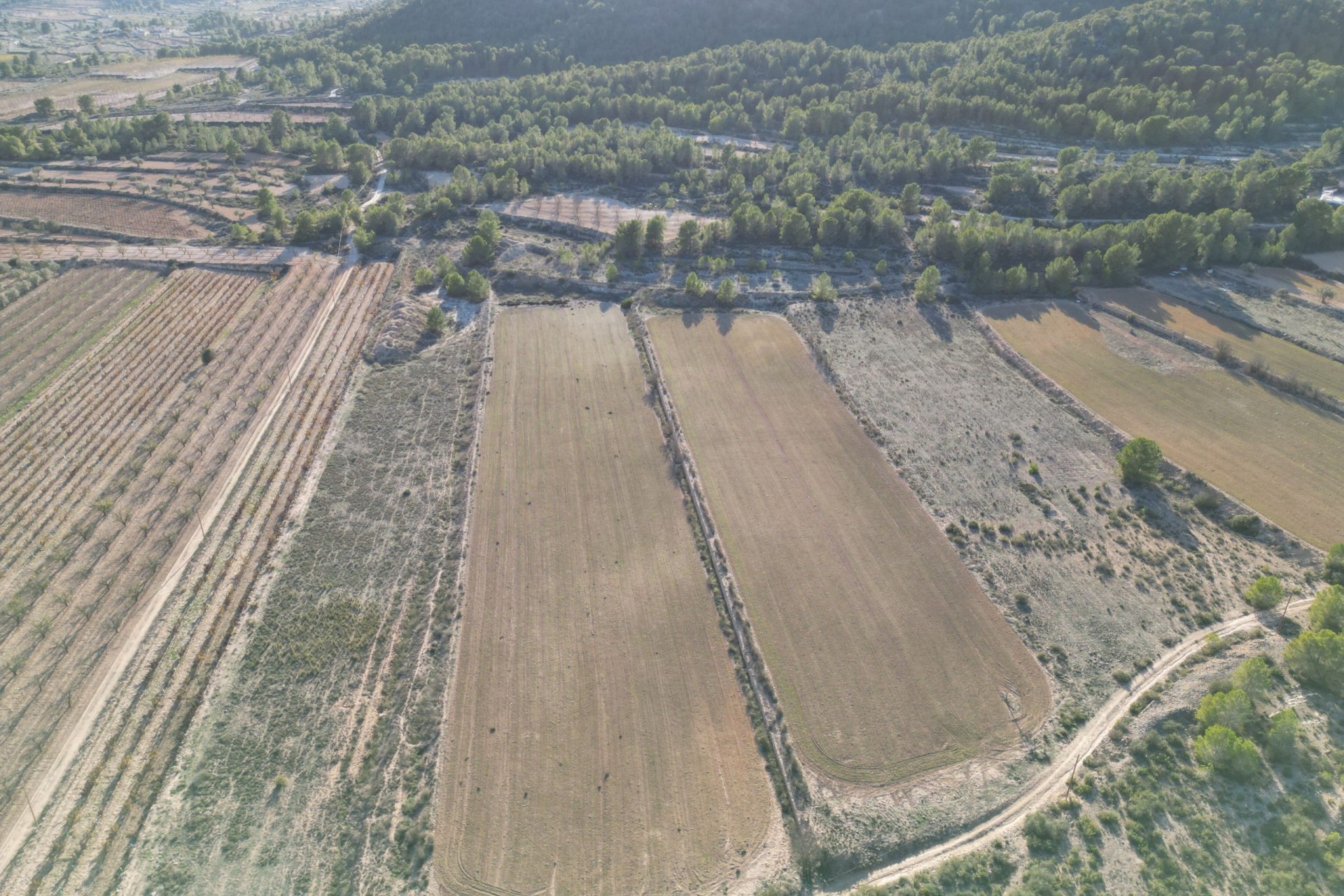 Sale - Grond -
Monovar