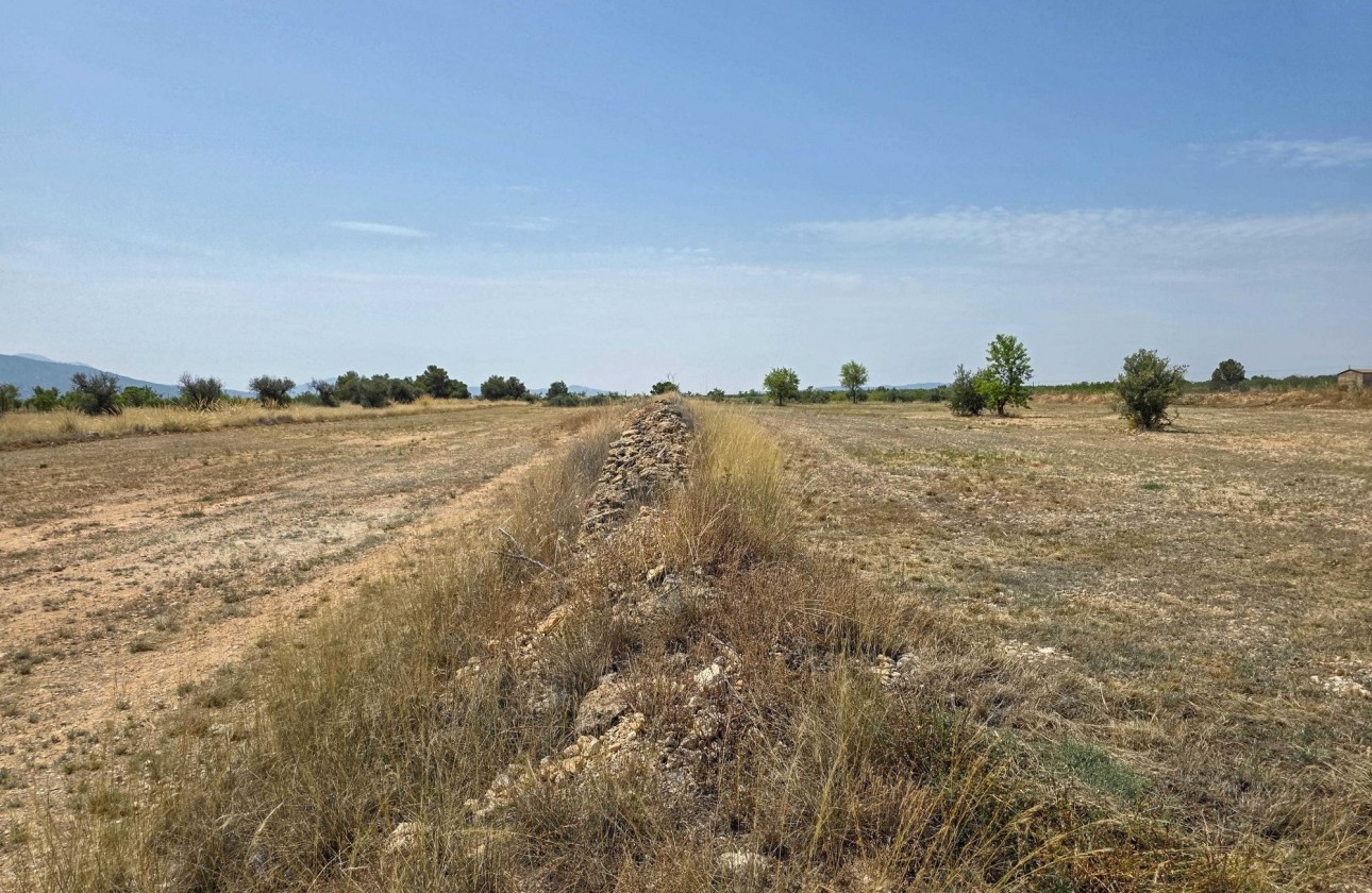 Sale - Grond -
Pinoso