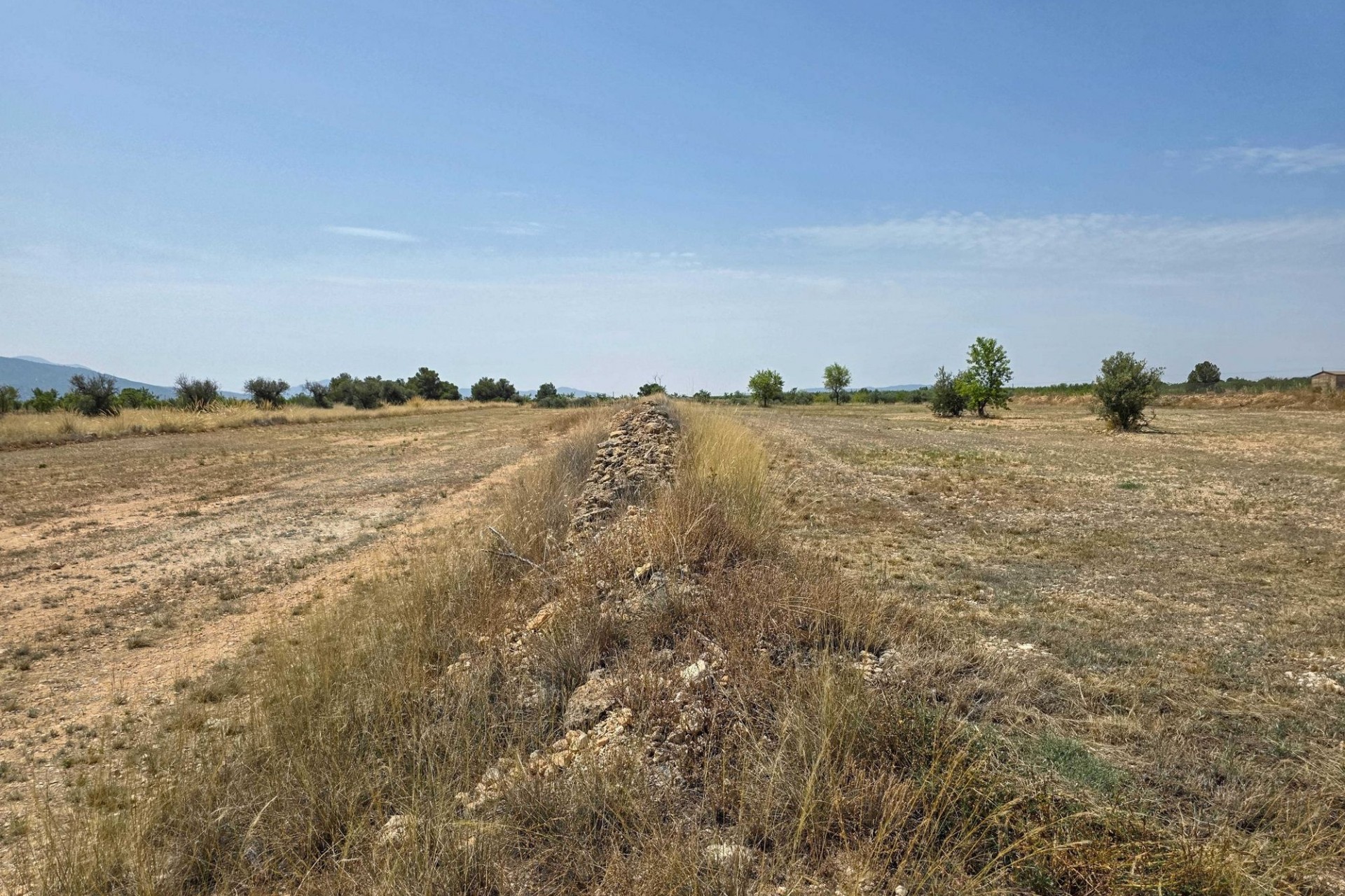 Sale - Grond -
Pinoso