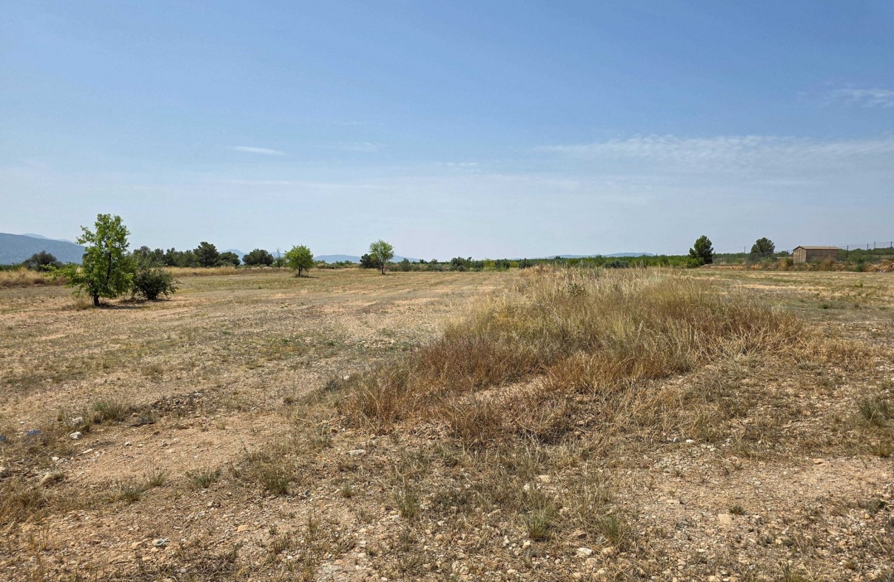 Sale - Grond -
Pinoso