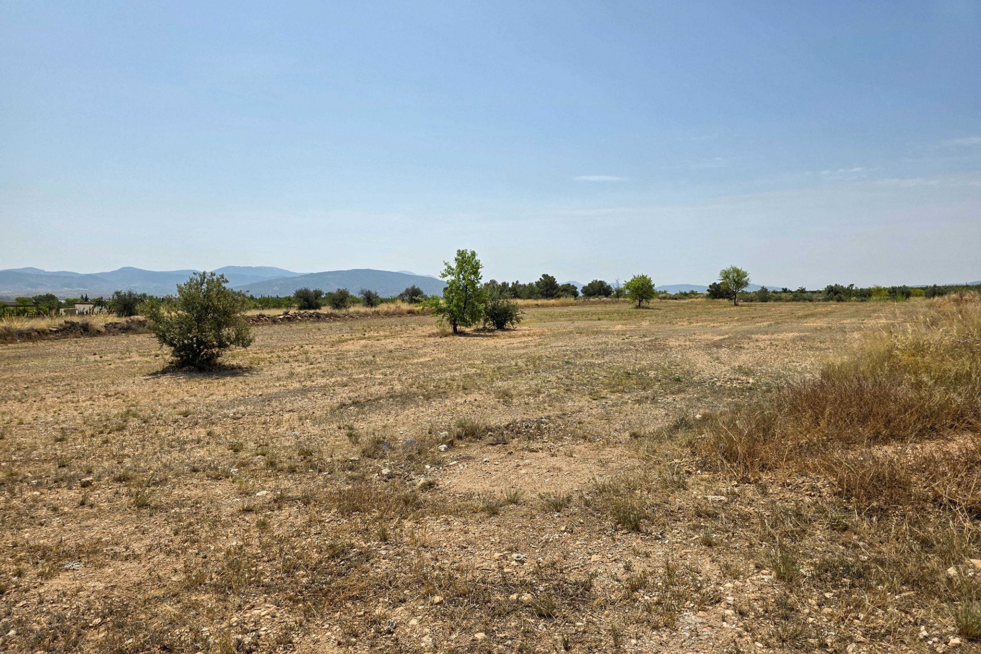 Sale - Grond -
Pinoso