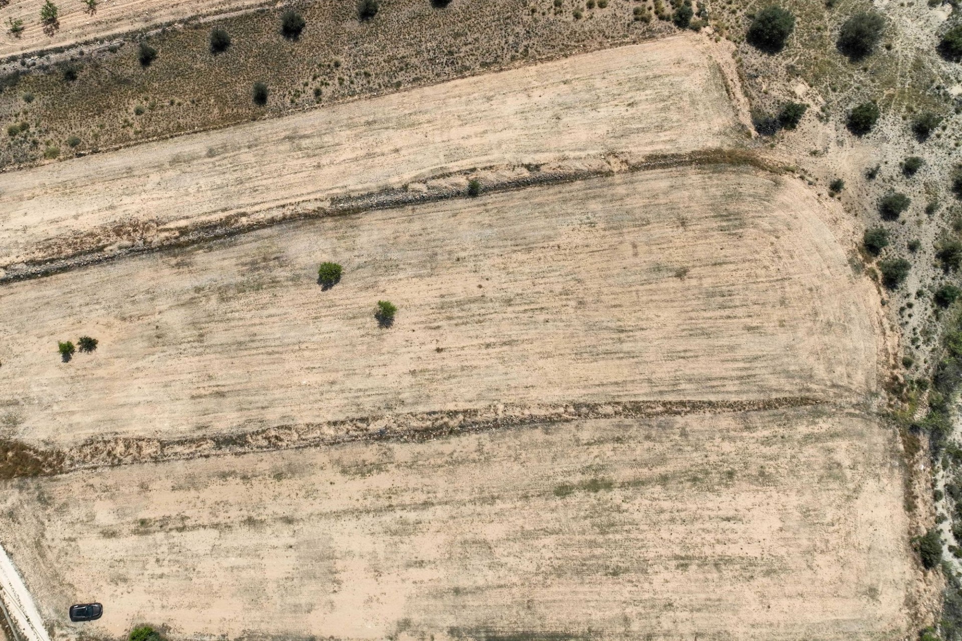 Sale - Grond -
Pinoso