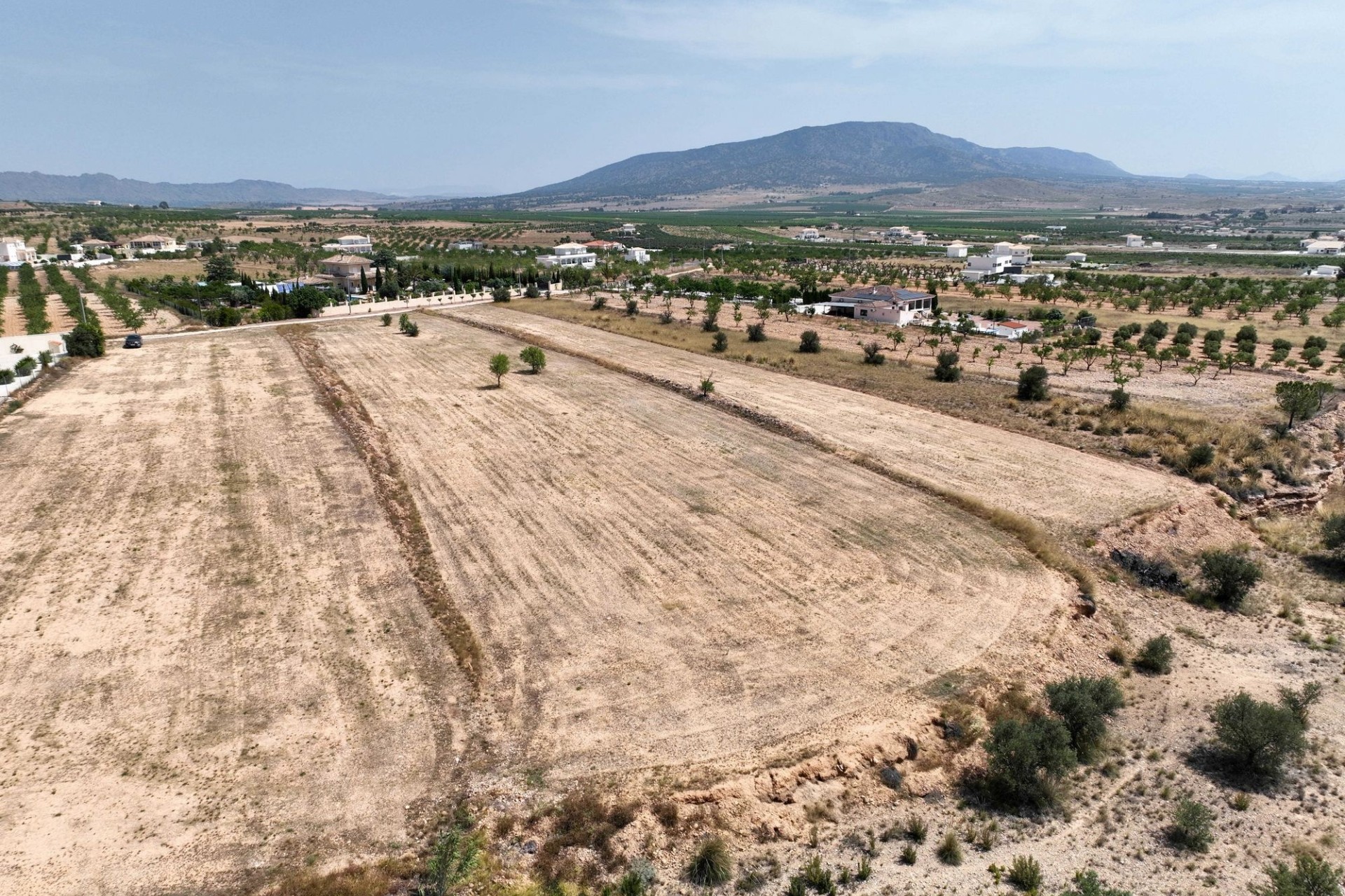 Sale - Grond -
Pinoso