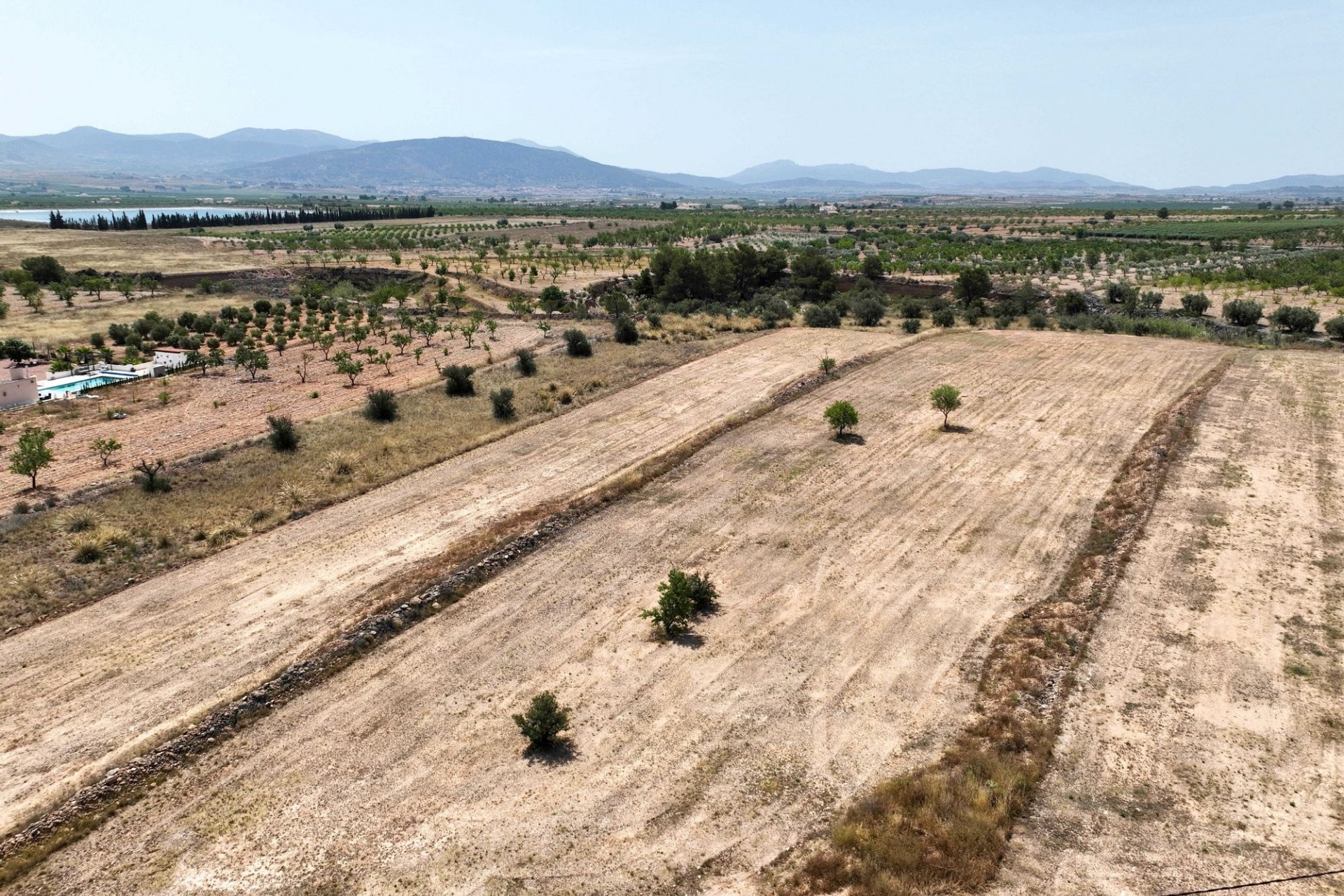 Sale - Grond -
Pinoso