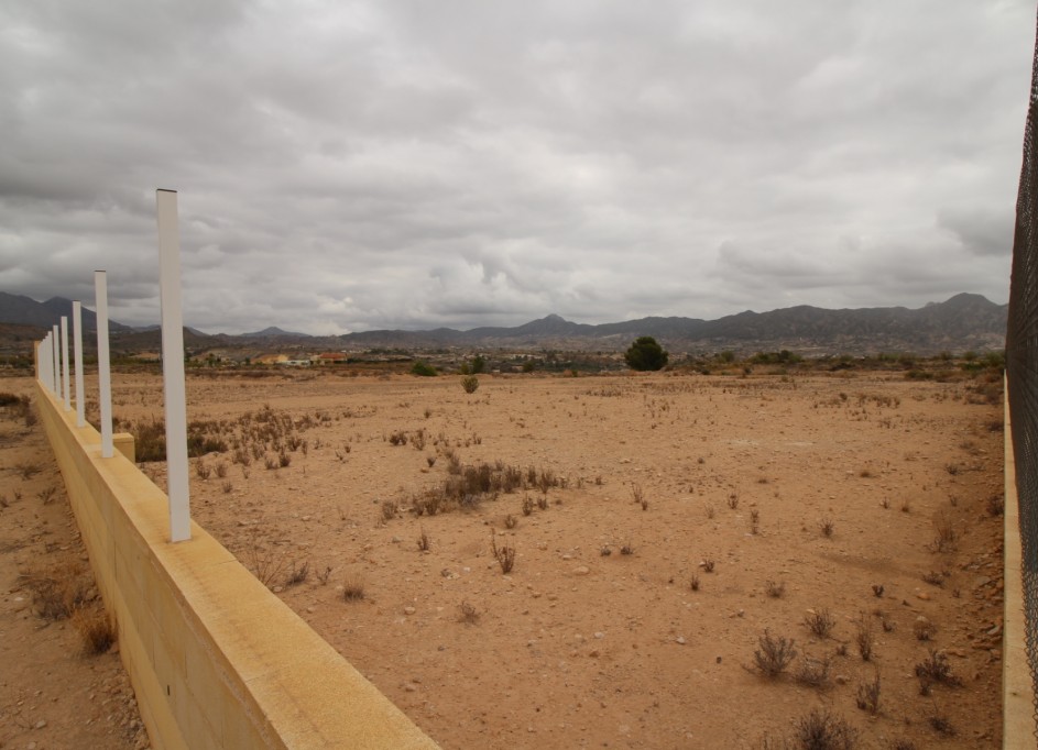 Sale - Plot Land -
Abanilla