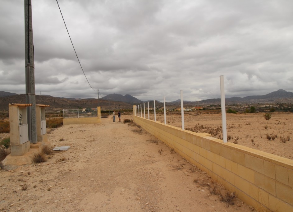 Sale - Plot Land -
Abanilla