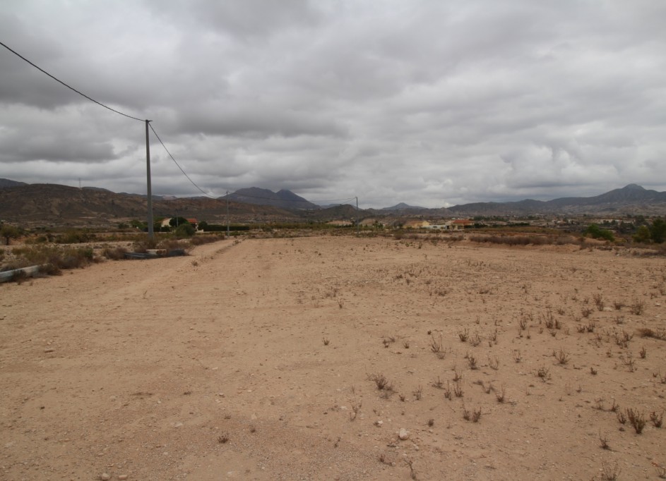 Sale - Plot Land -
Abanilla