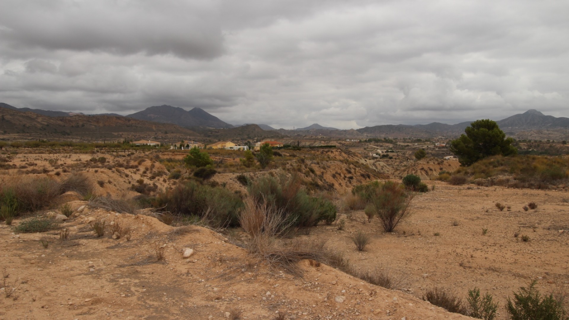 Sale - Plot Land -
Abanilla