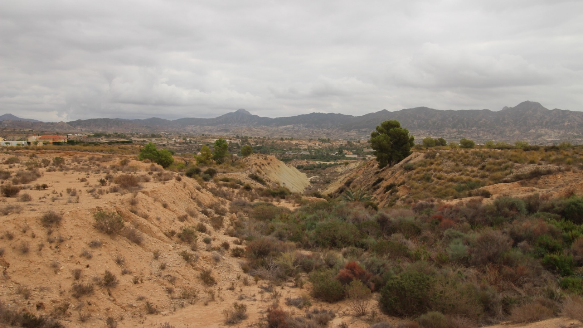 Sale - Plot Land -
Abanilla