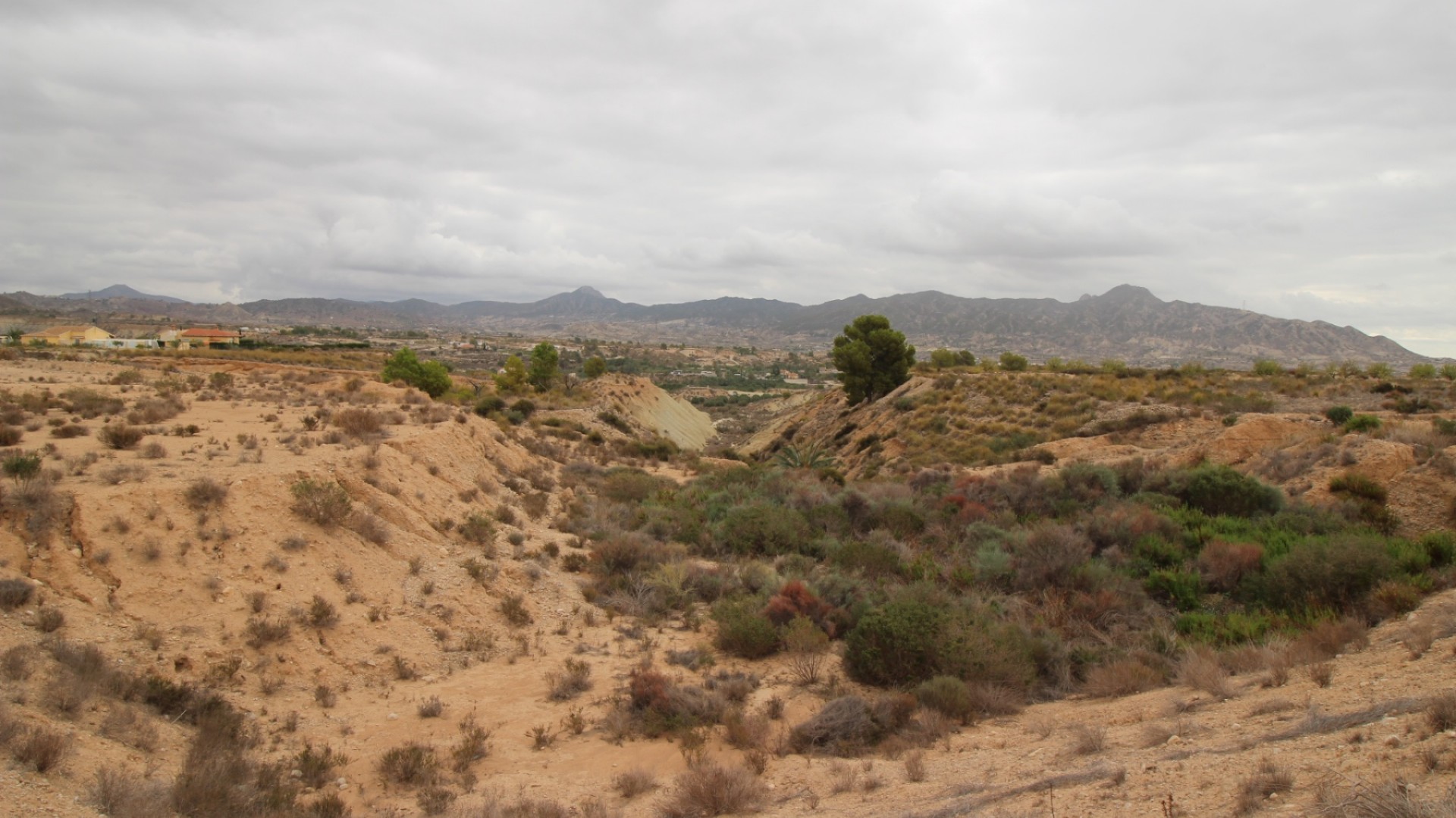 Sale - Plot Land -
Abanilla