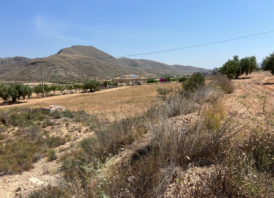 Sale - Plot Land -
Barbarroja