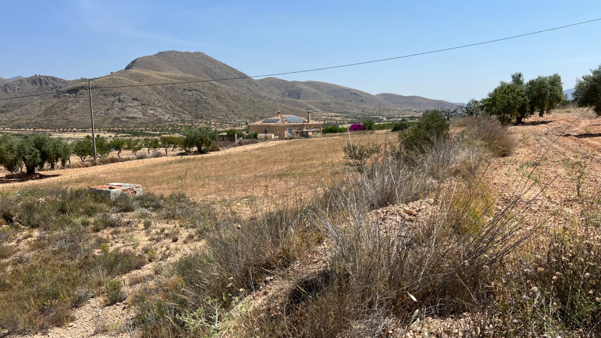 Sale - Plot Land -
Barbarroja