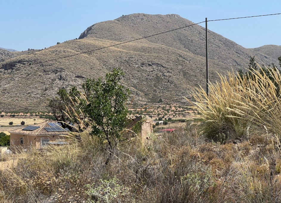 Sale - Plot Land -
Barbarroja