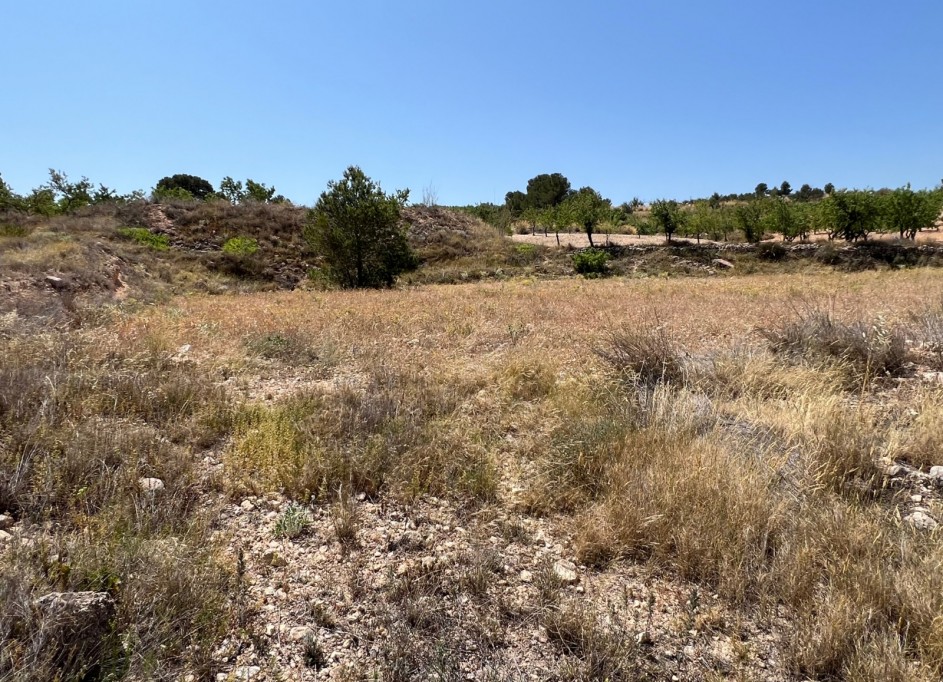 Sale - Plot Land -
Barbarroja