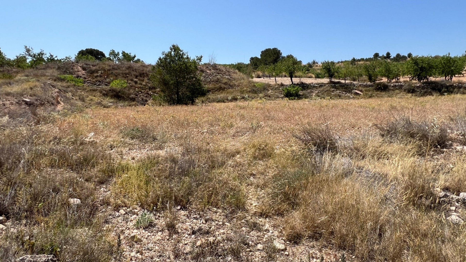 Sale - Plot Land -
Barbarroja