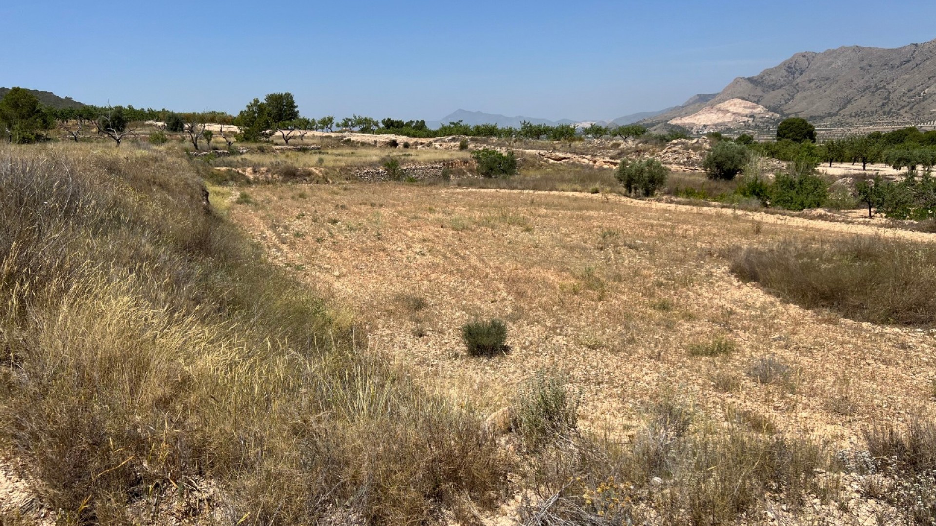 Sale - Plot Land -
Barbarroja
