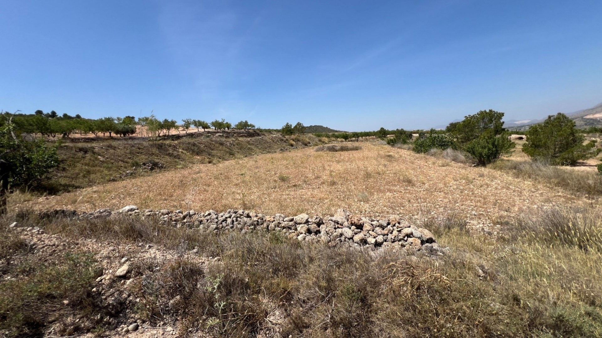 Sale - Plot Land -
Barbarroja