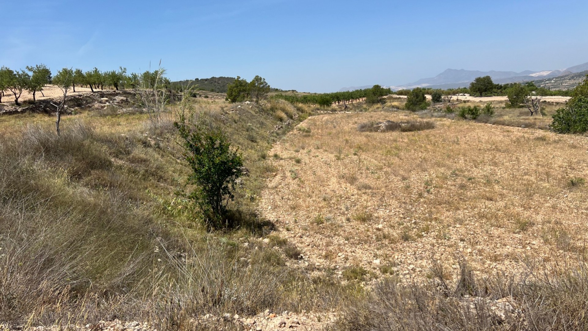 Sale - Plot Land -
Barbarroja