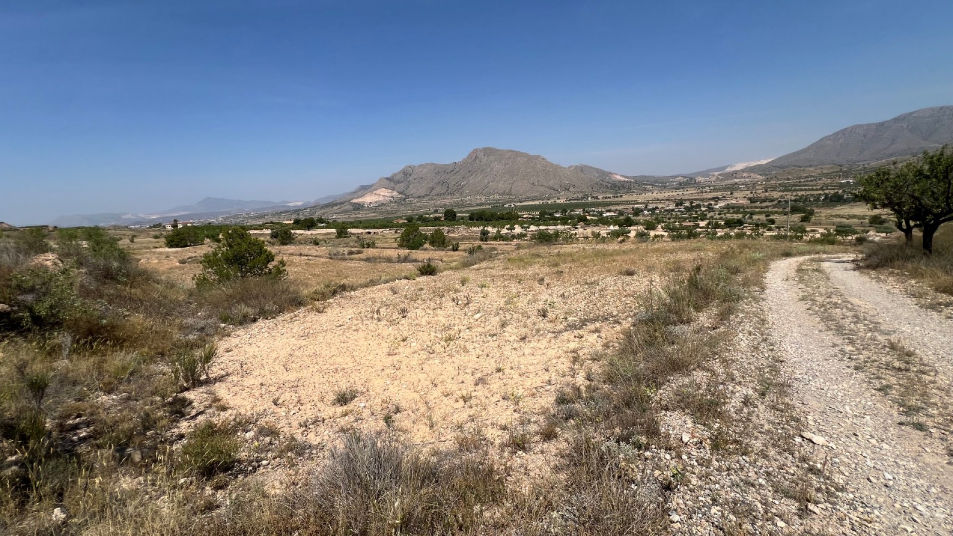 Sale - Plot Land -
Barbarroja