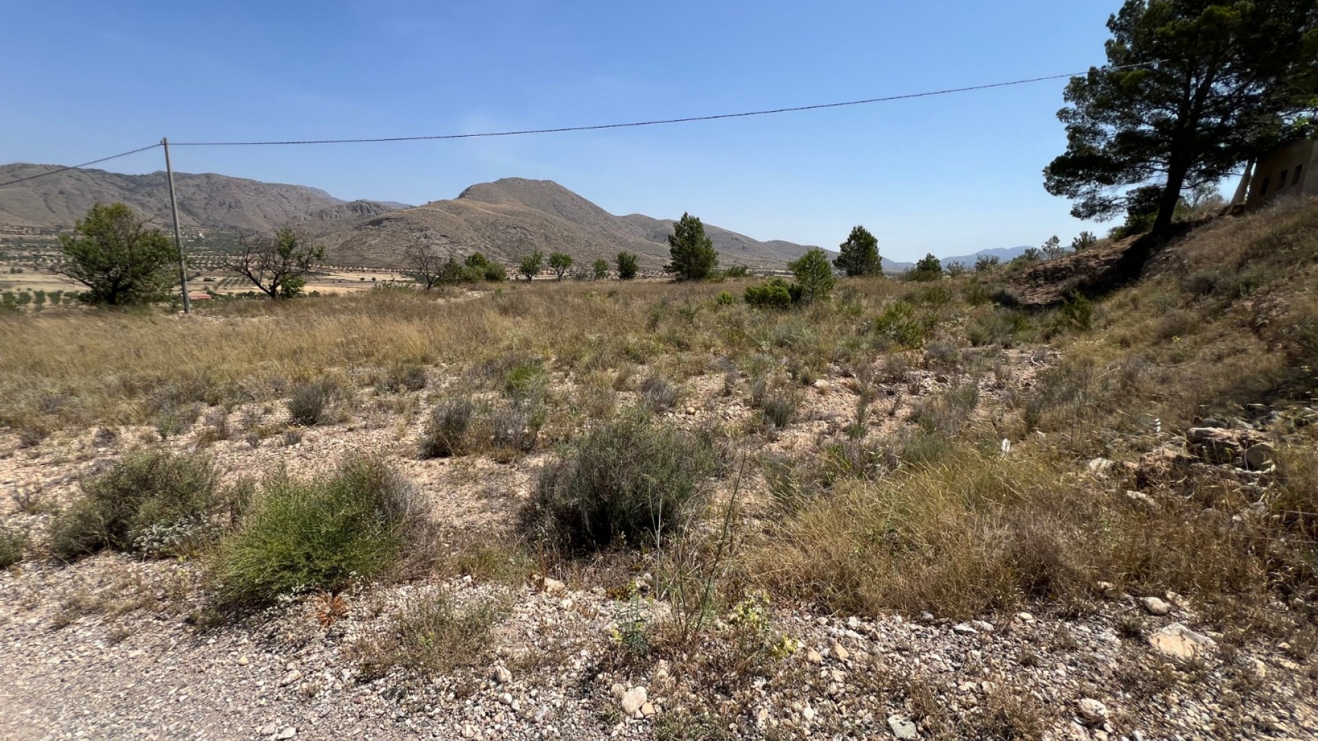 Sale - Plot Land -
Barbarroja