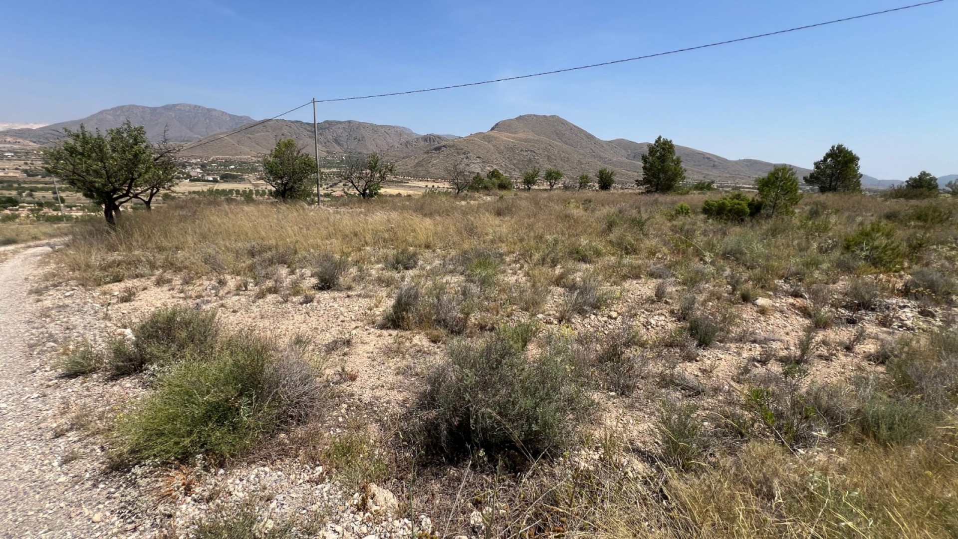 Sale - Plot Land -
Barbarroja