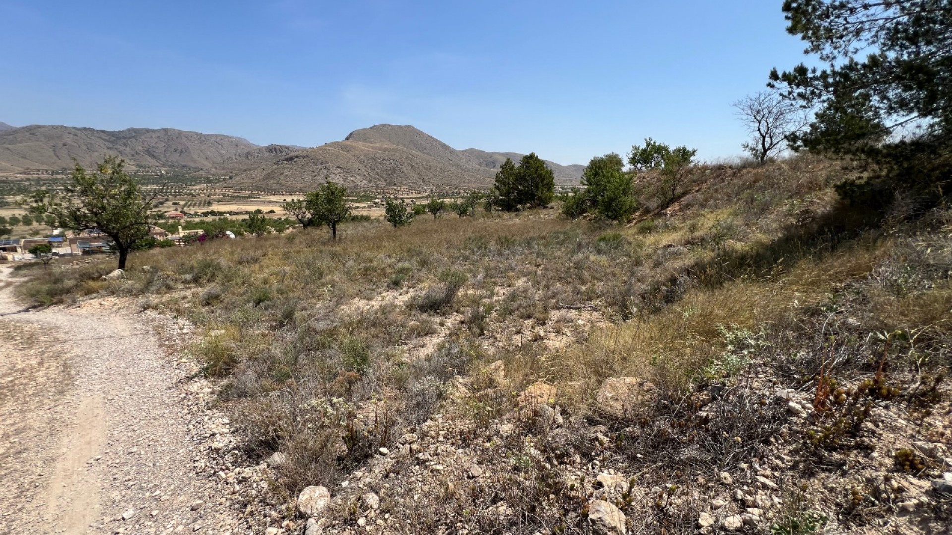 Sale - Plot Land -
Barbarroja