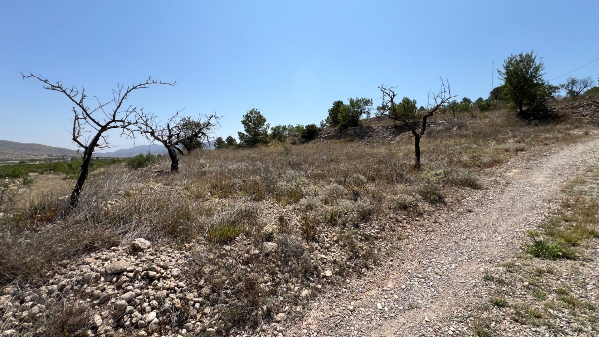 Sale - Plot Land -
Barbarroja