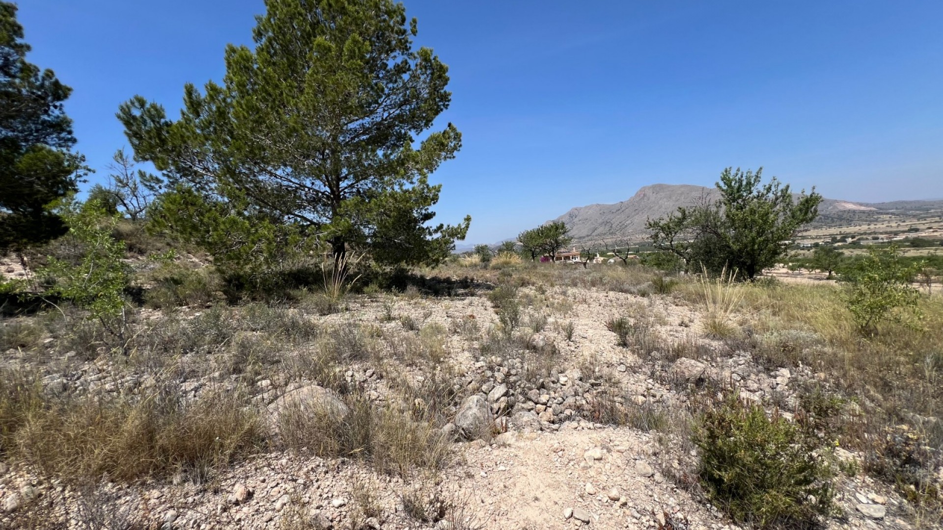 Sale - Plot Land -
Barbarroja