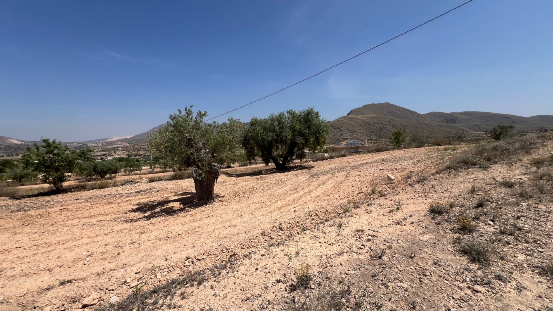 Sale - Plot Land -
Barbarroja