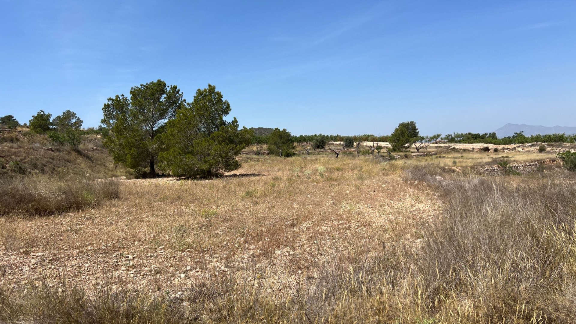 Sale - Plot Land -
Barbarroja