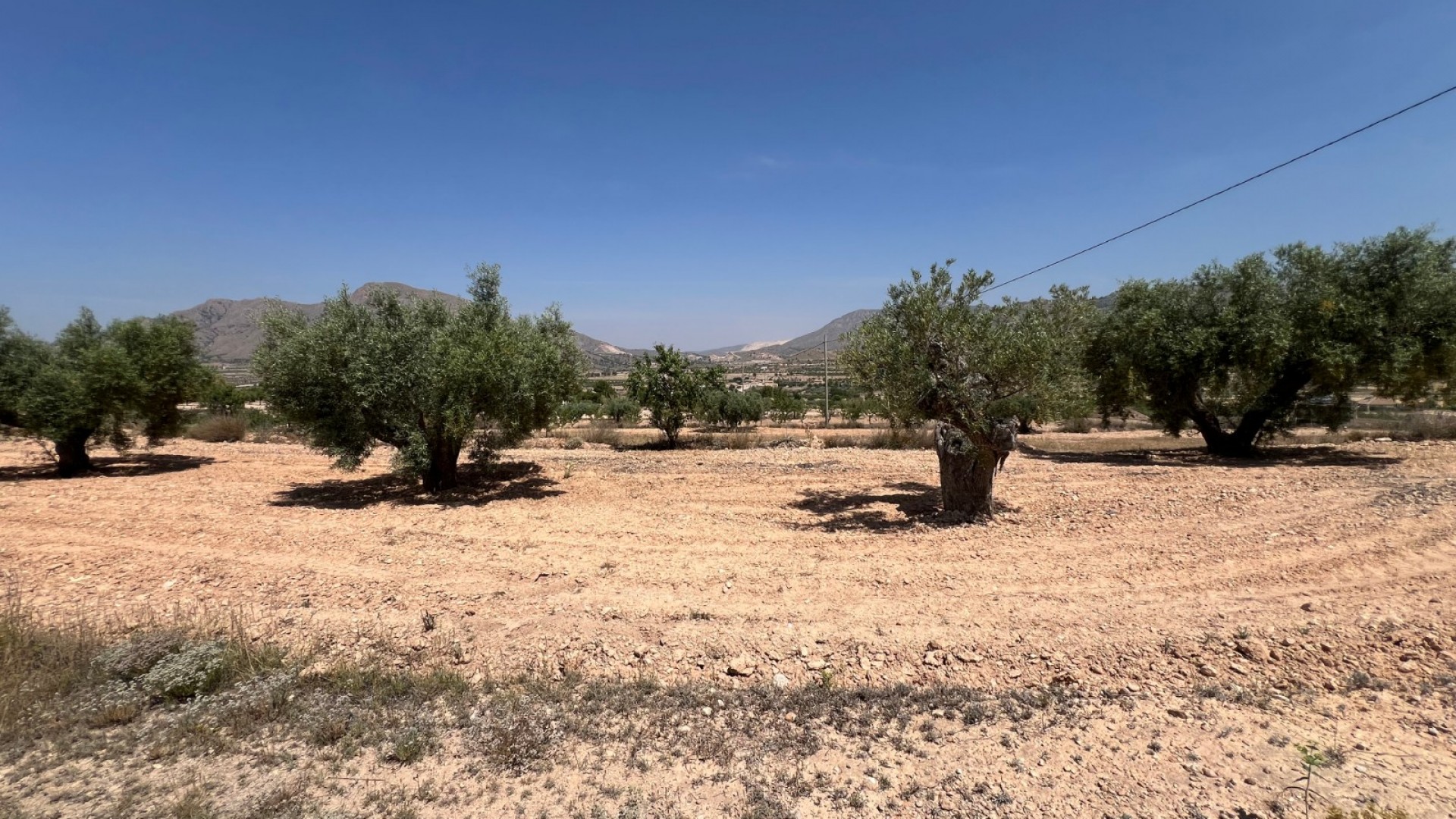 Sale - Plot Land -
Barbarroja