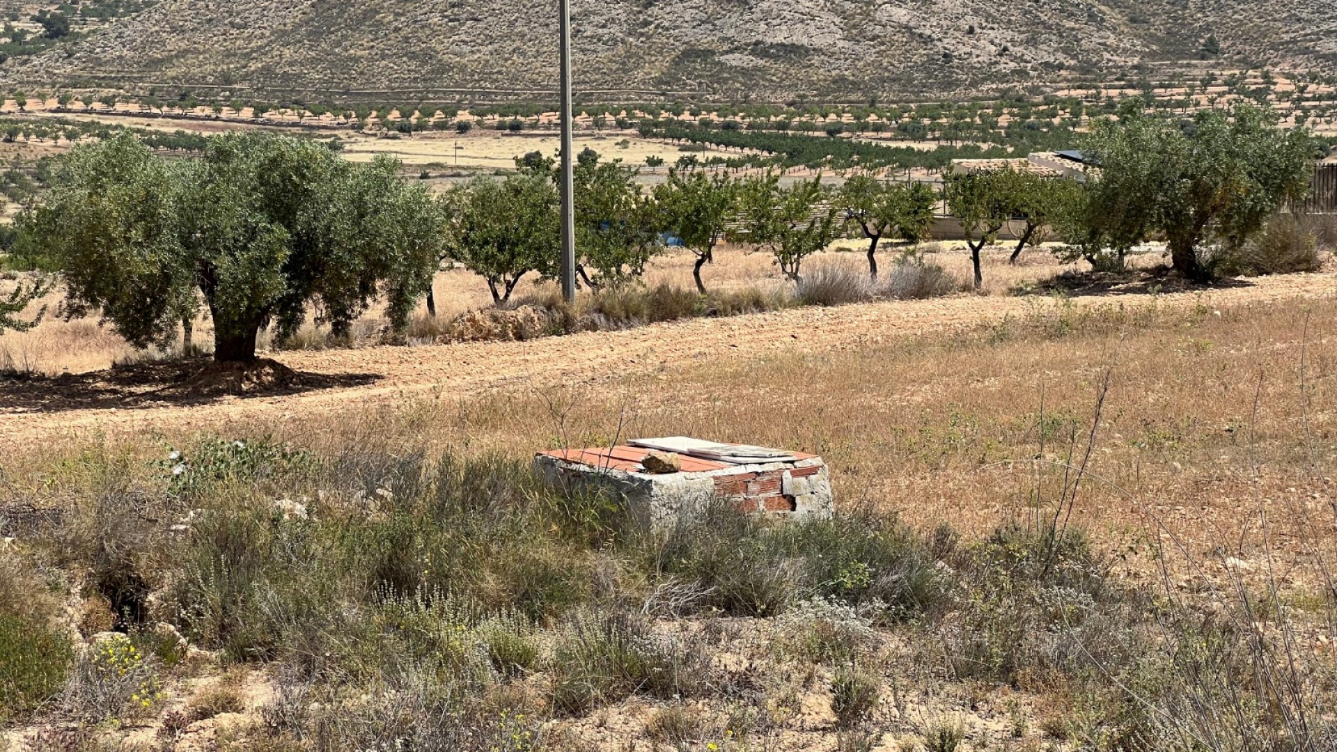 Sale - Plot Land -
Barbarroja