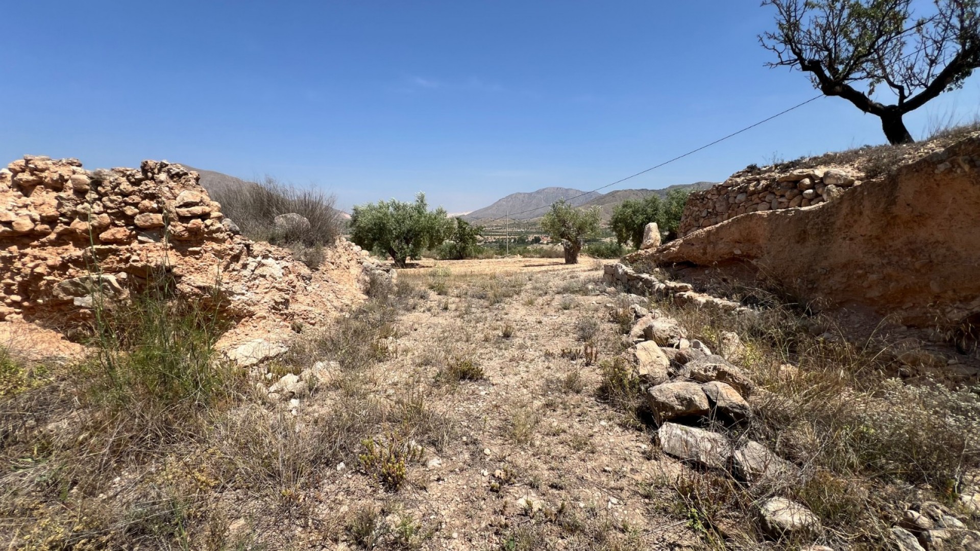 Sale - Plot Land -
Barbarroja