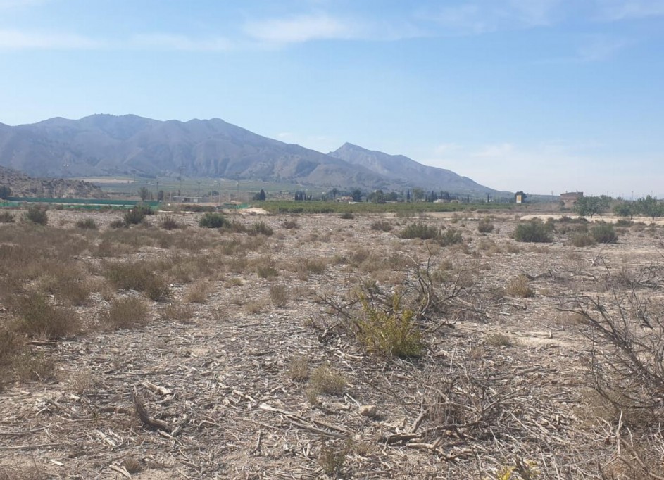 Sale - Plot Land -
Benferri - HUERTA PUEBLO