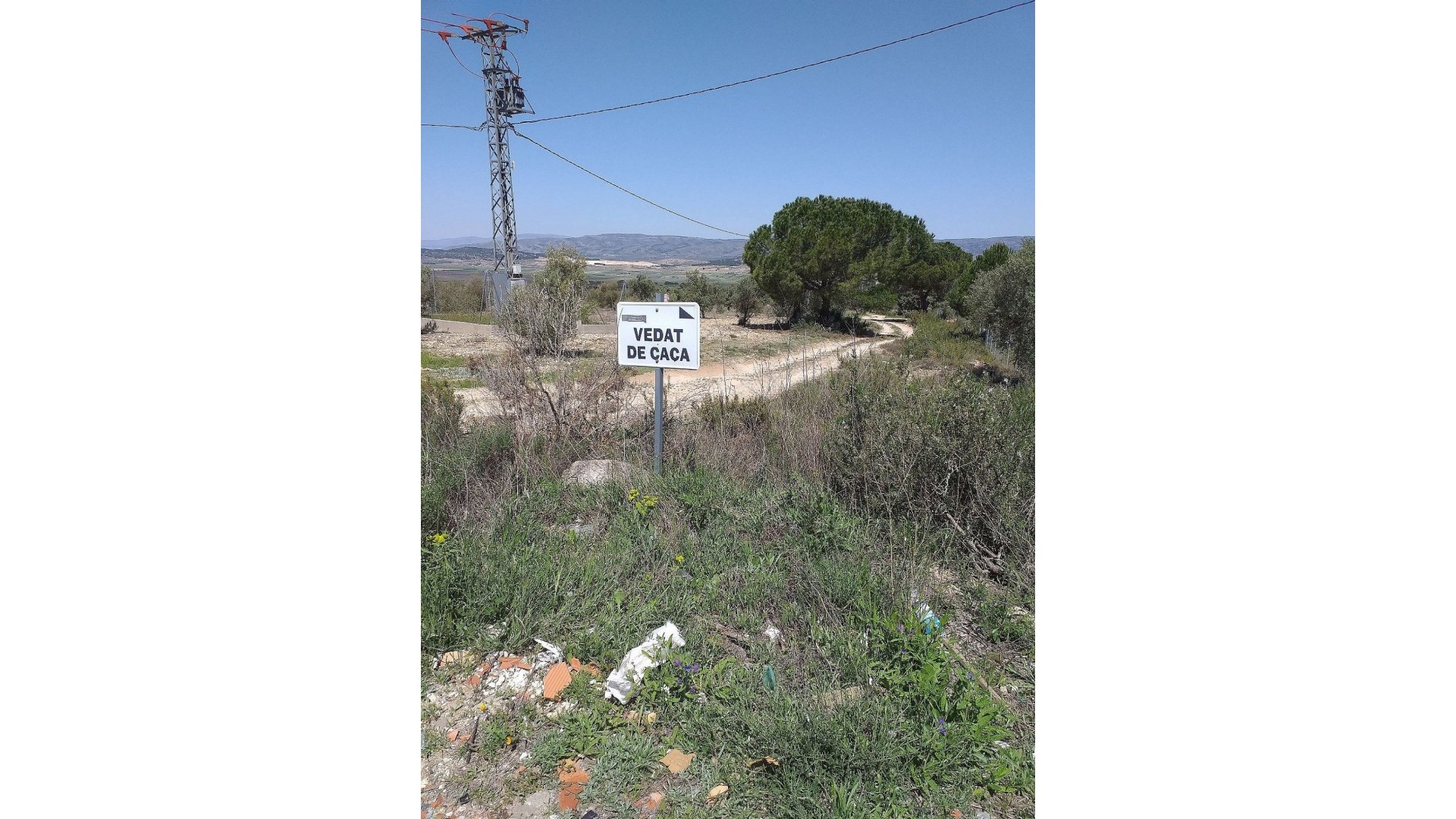 Sale - Plot Land -
Biar