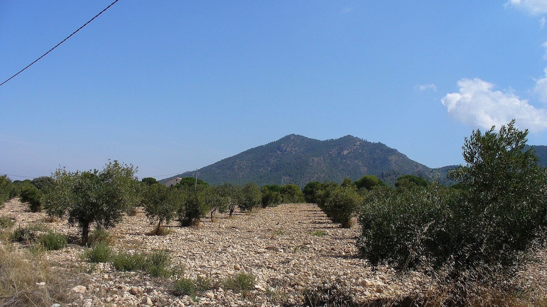 Sale - Plot Land -
Biar