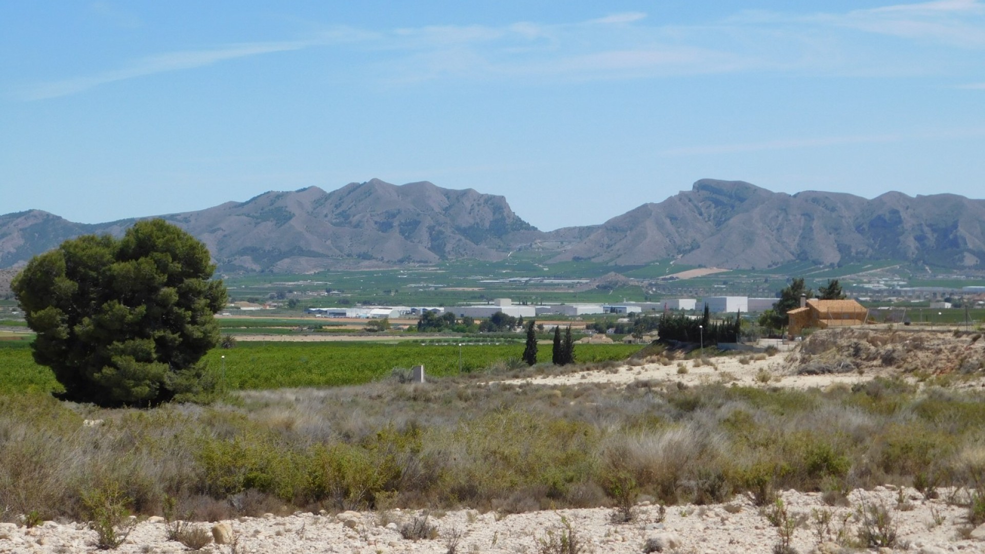 Sale - Plot Land -
Fortuna - FORTUNA (MURCIA)