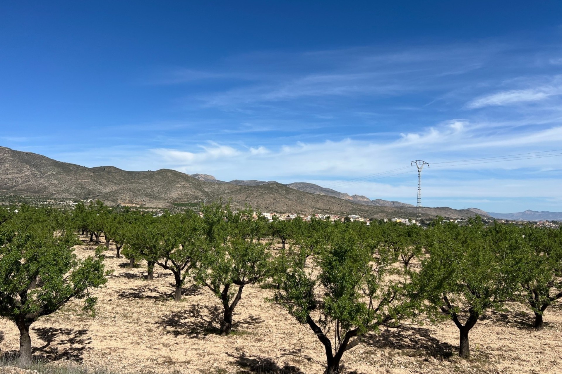 Sale - Plot Land -
Hondón de los Fráiles