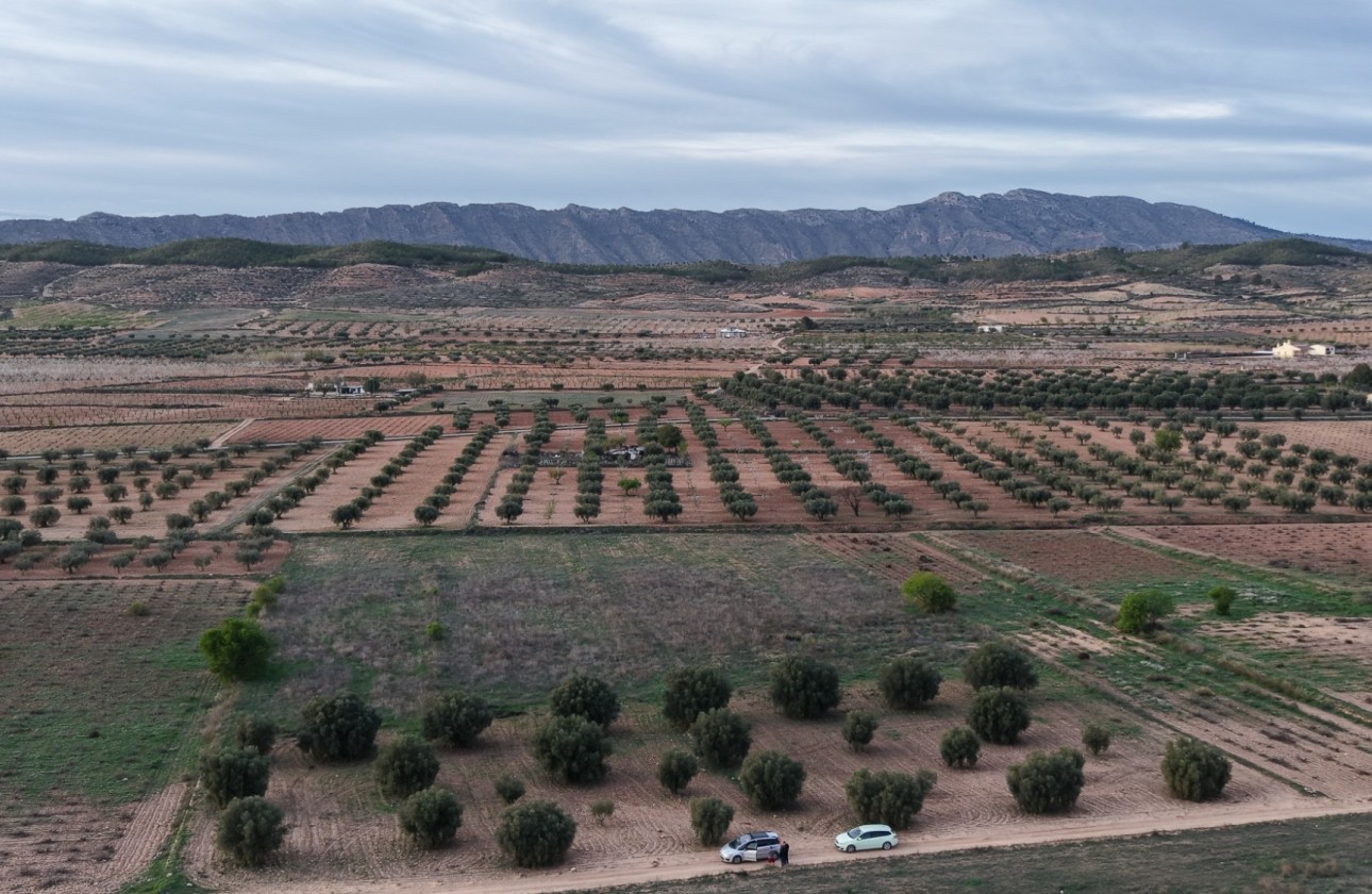 Sale - Plot Land -
Jumilla