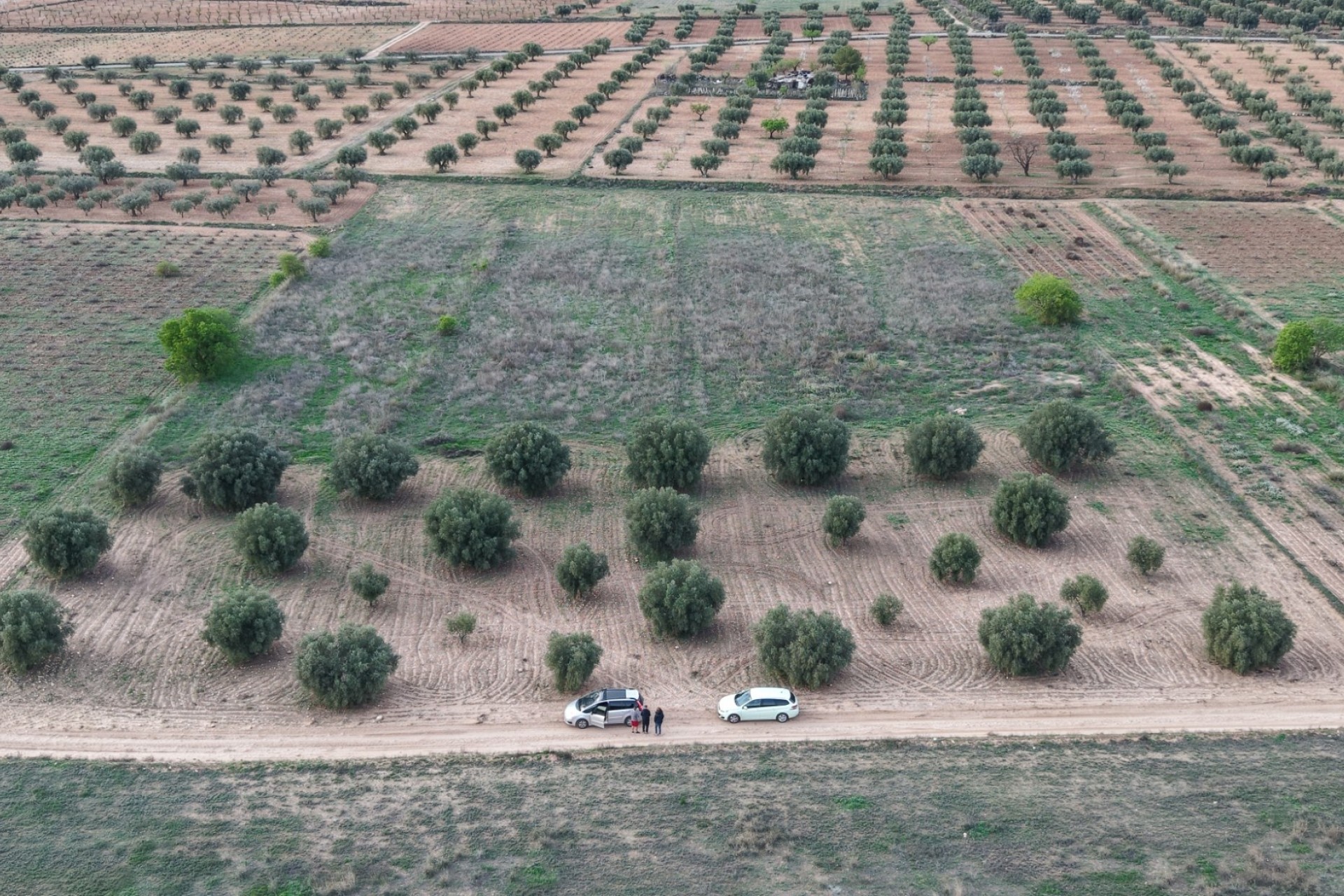 Sale - Plot Land -
Jumilla