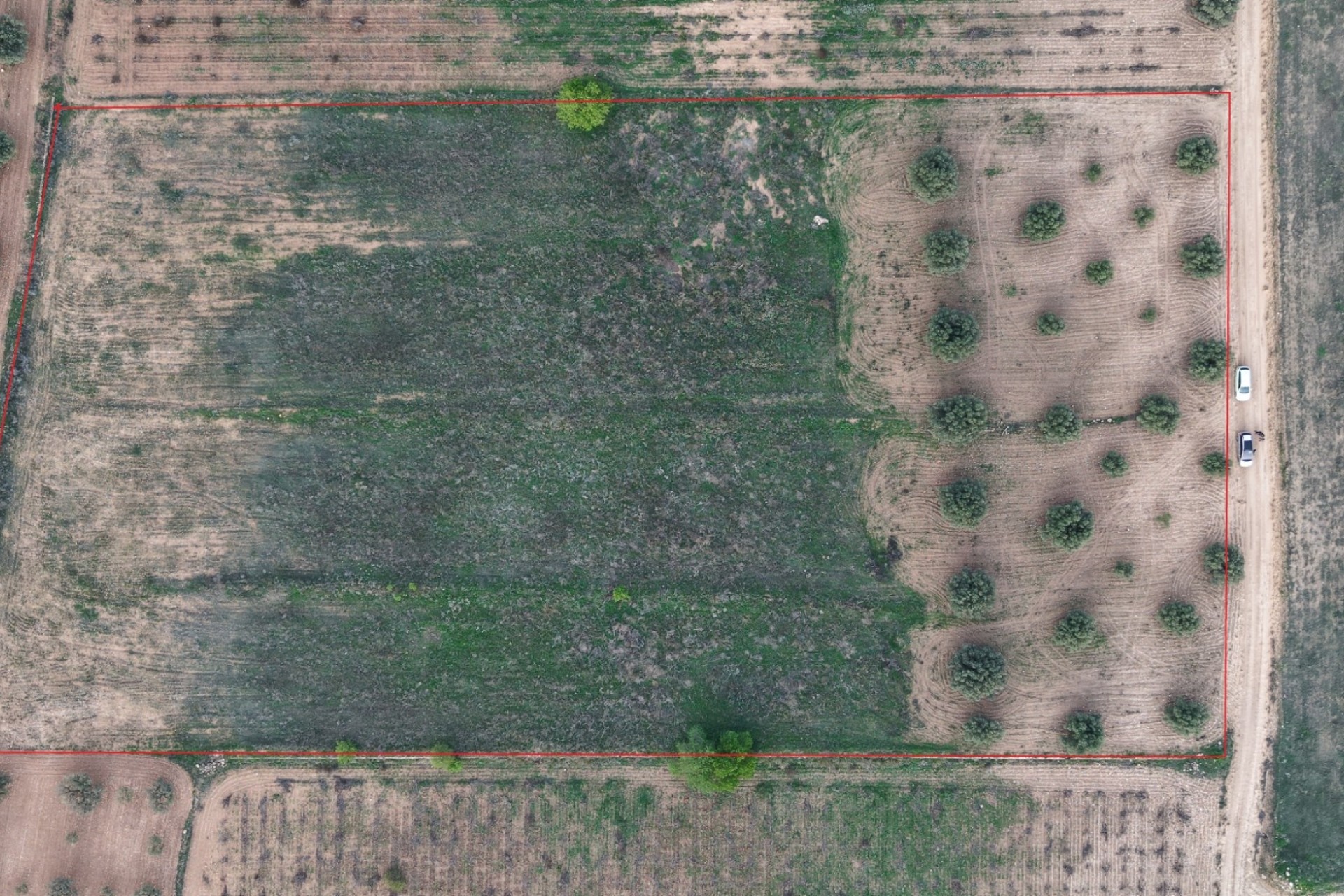 Sale - Plot Land -
Jumilla