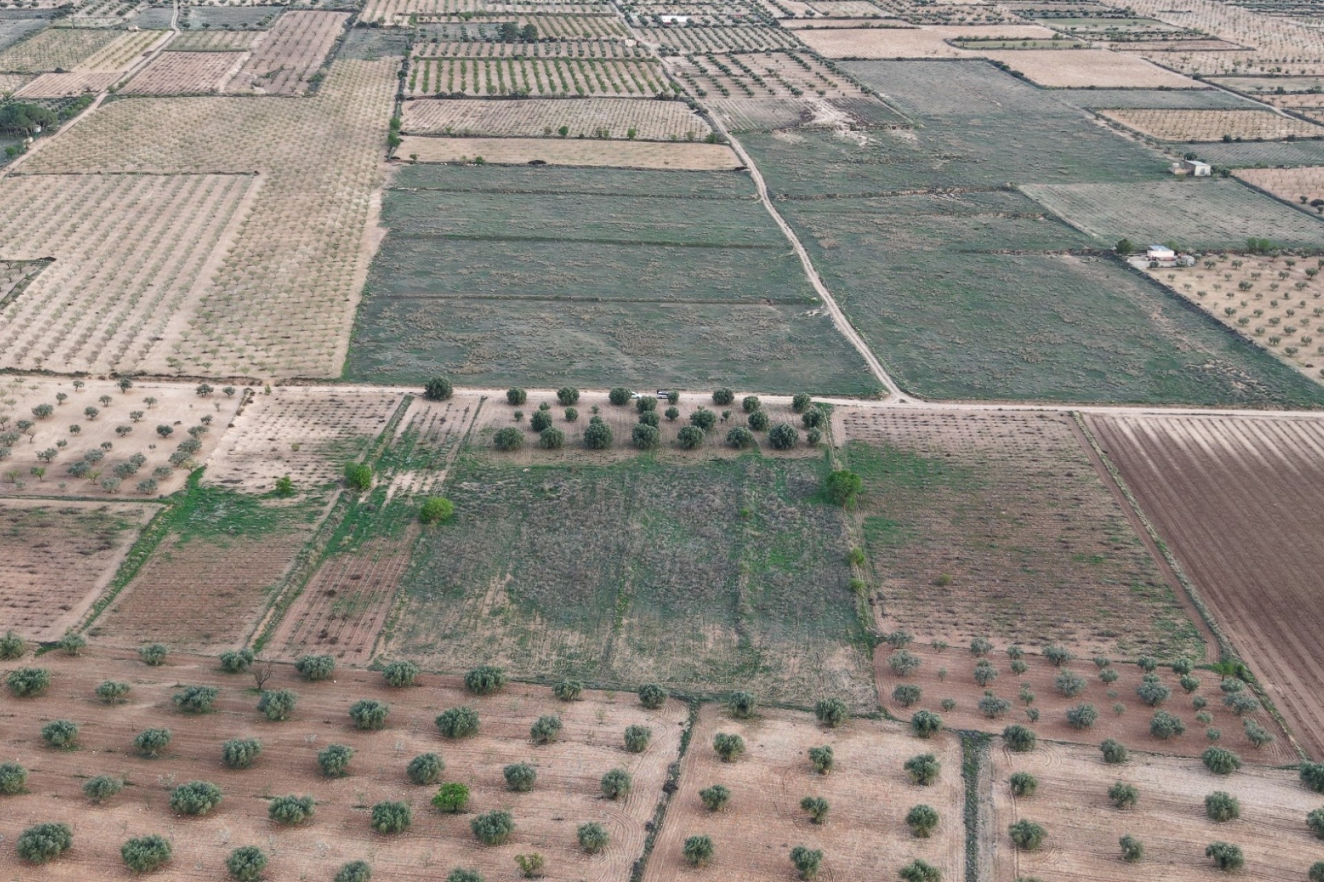 Sale - Plot Land -
Jumilla