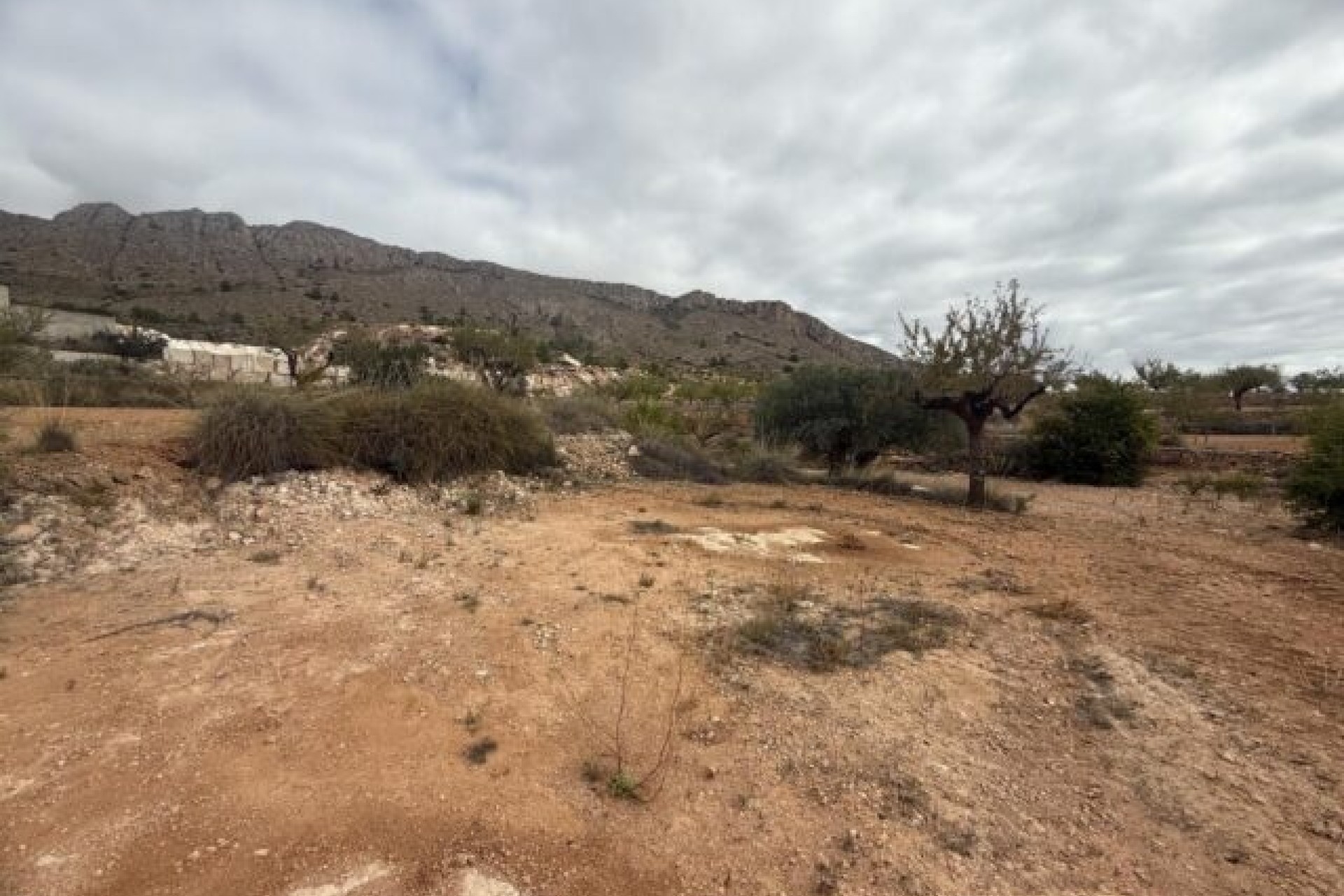 Sale - Plot Land -
La Romana