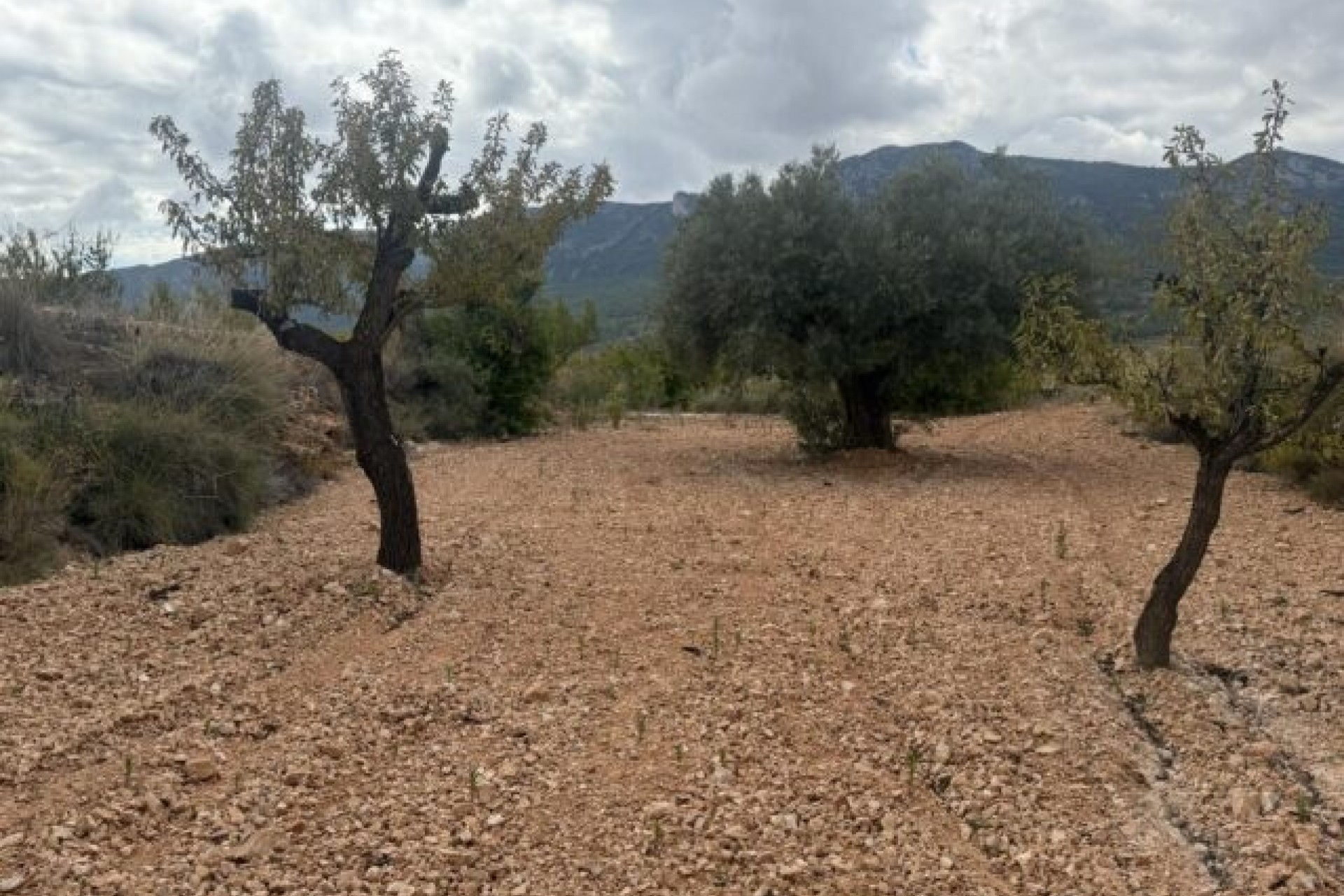 Sale - Plot Land -
La Romana