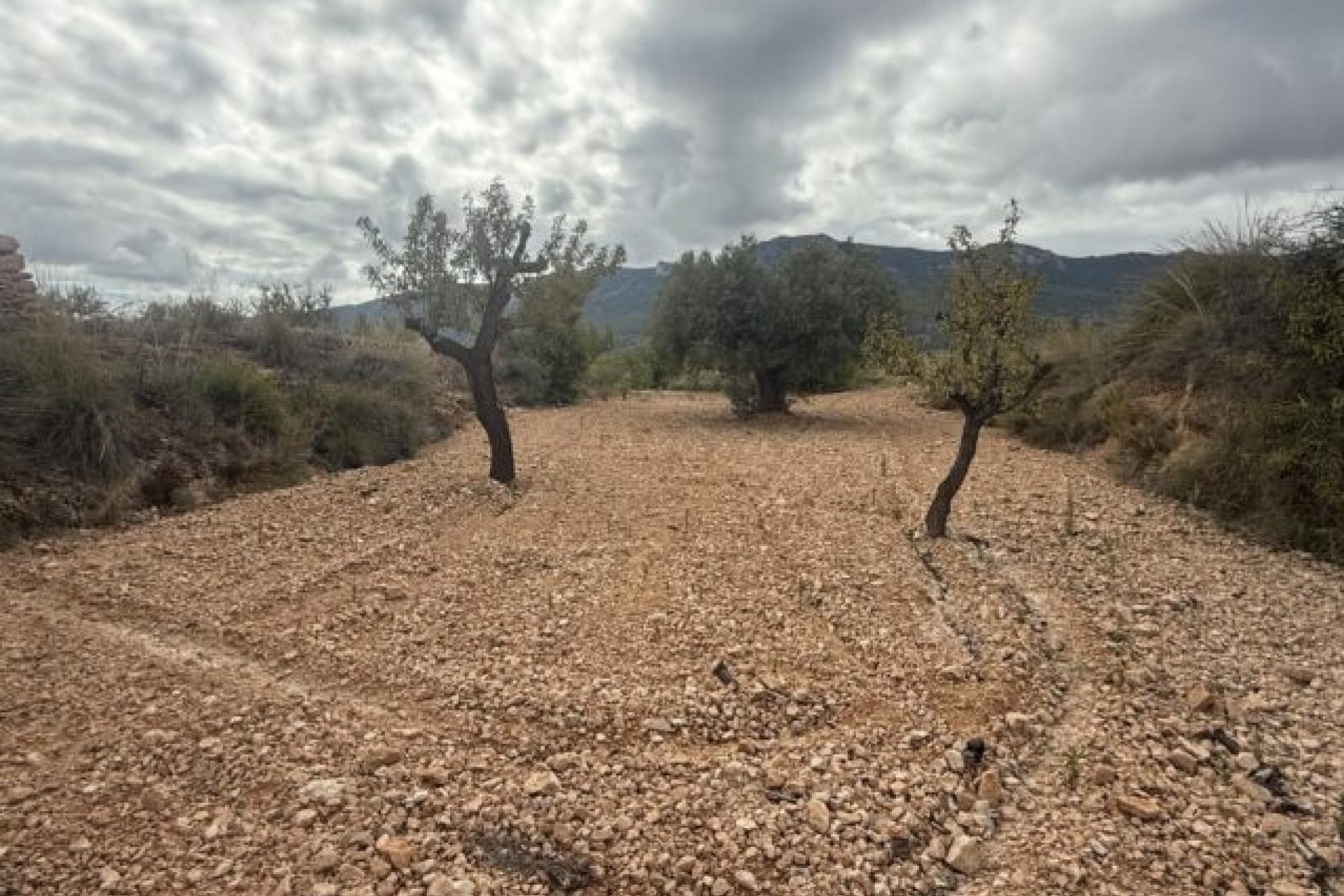 Sale - Plot Land -
La Romana