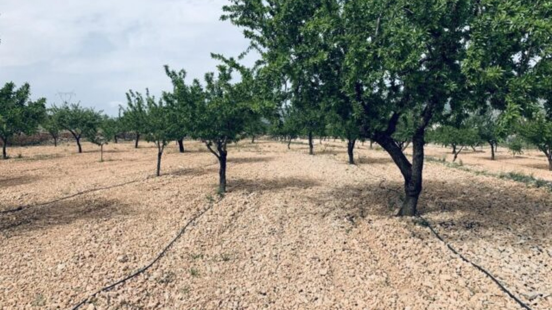 Sale - Plot Land -
La Romana