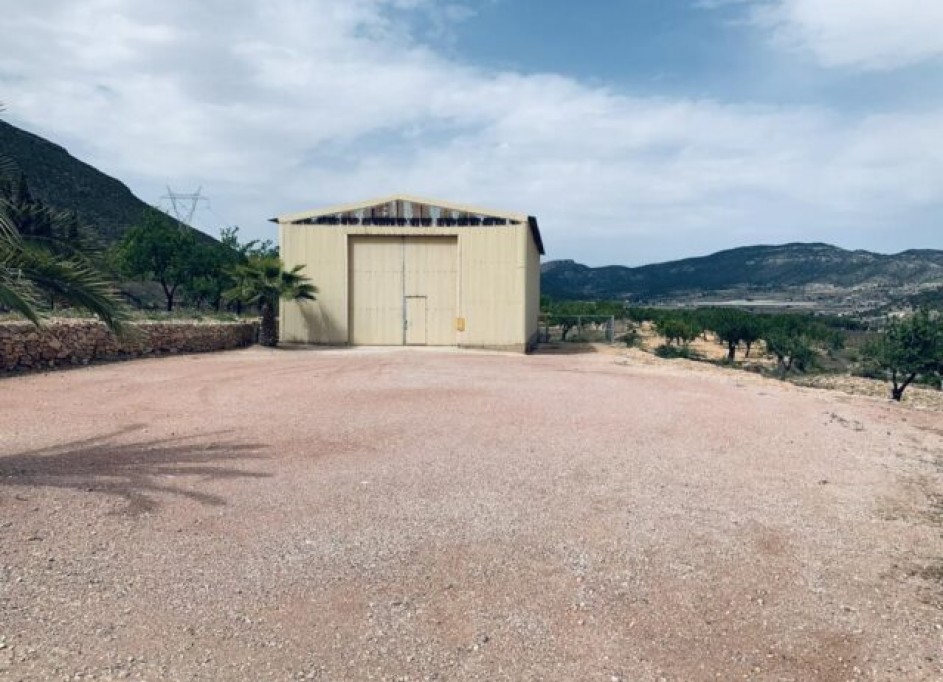 Sale - Plot Land -
La Romana