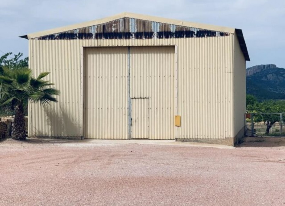 Sale - Plot Land -
La Romana