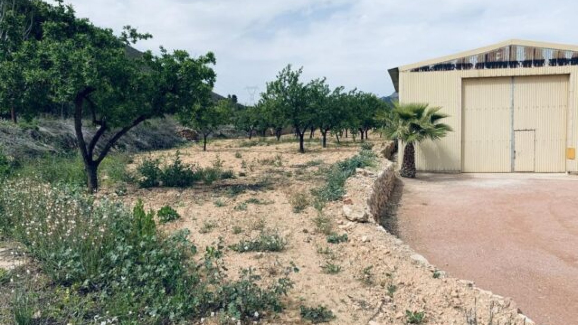 Sale - Plot Land -
La Romana